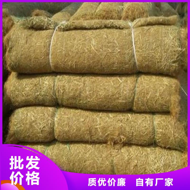 水?？箾_生物毯稻草纖維毯當?shù)貜S家