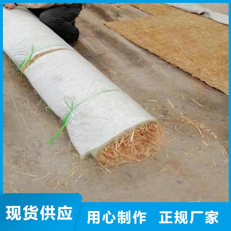 生態(tài)植物防護毯哪里有賣的批發(fā)當地生產商