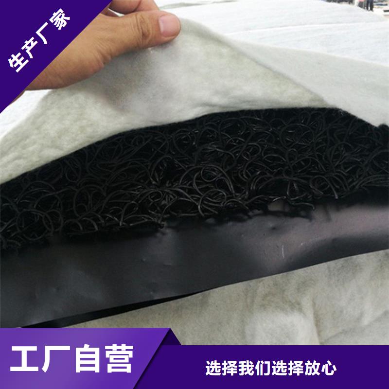 4050高滲排水網(wǎng)墊本地生產(chǎn)廠家