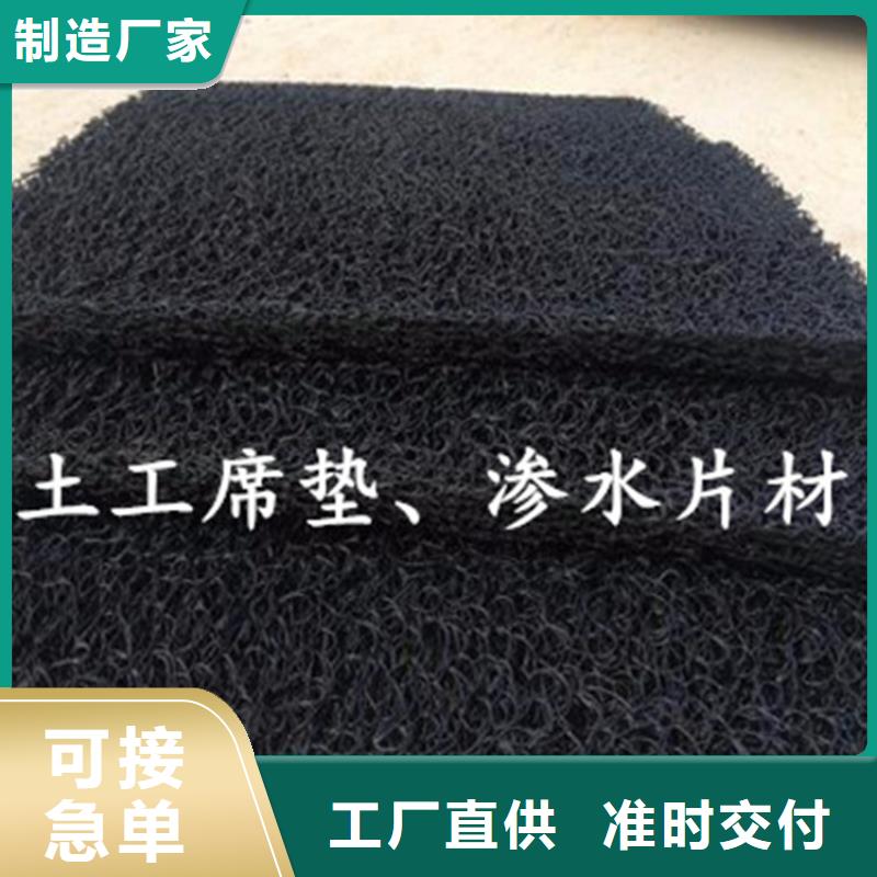 3040高渗排水网垫当地公司