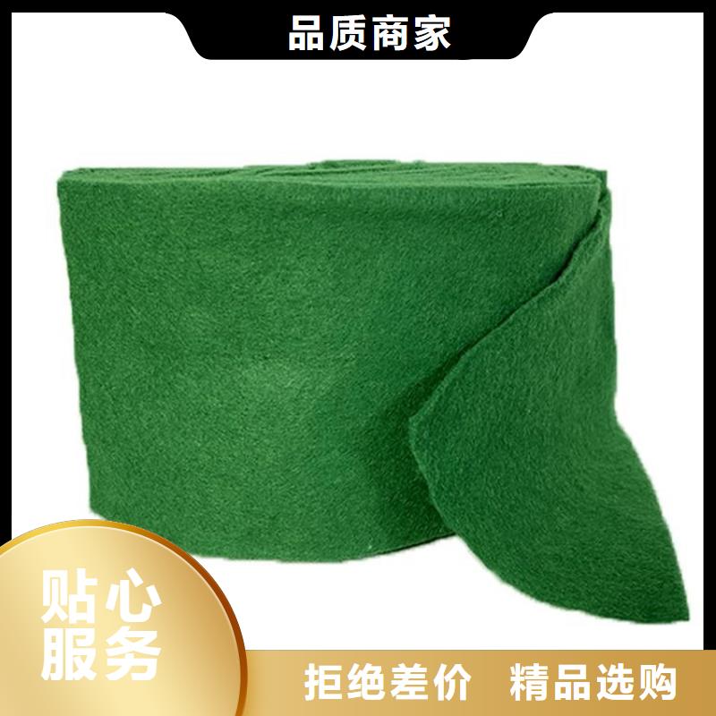 裹树布【土工膜】产地源头好货生产厂家