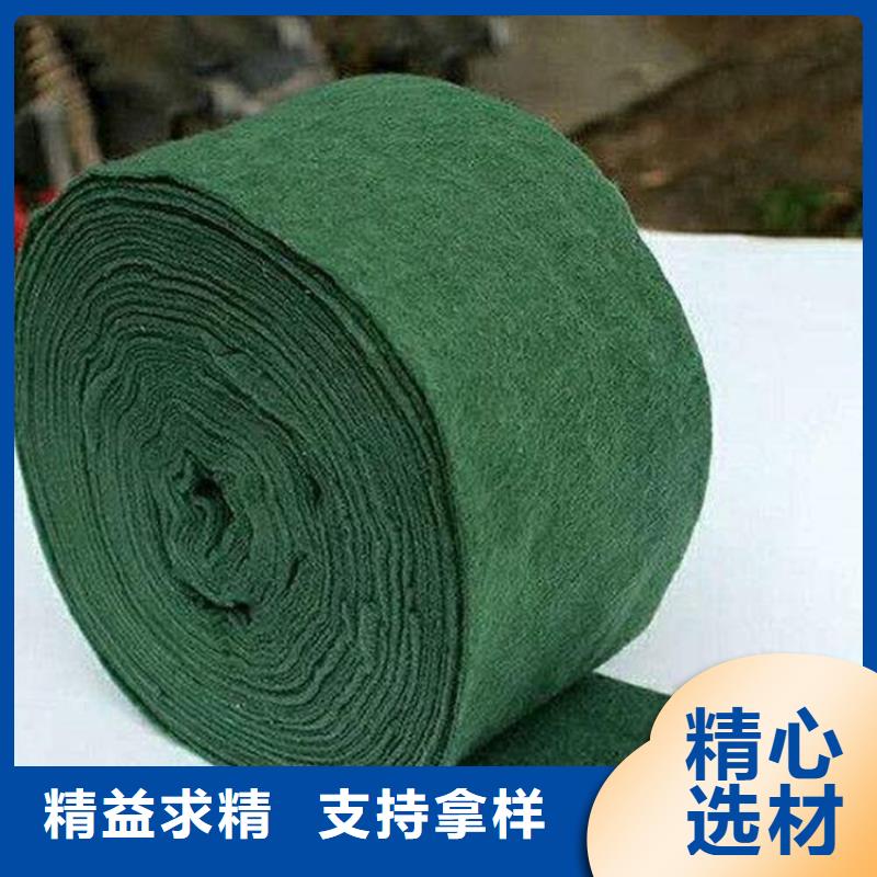 洛陽市包樹布