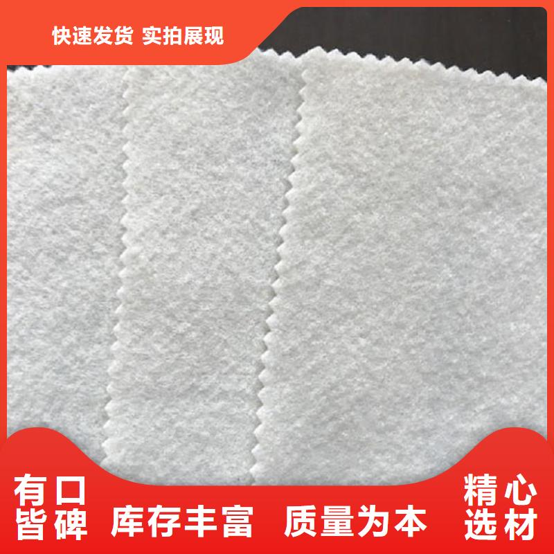 無紡針刺復(fù)合土工布同城貨源