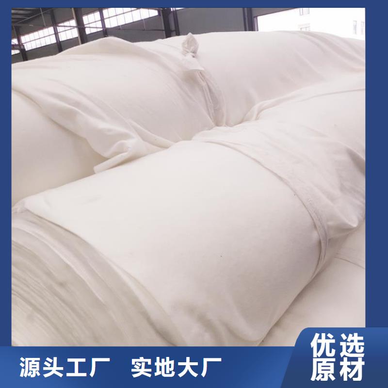 土工布,防滲膜優(yōu)良材質(zhì)發(fā)貨及時