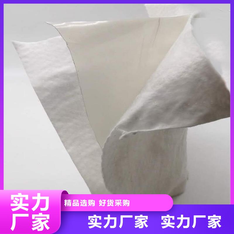 【土工布防滲膜源頭采購】當(dāng)?shù)胤?wù)商