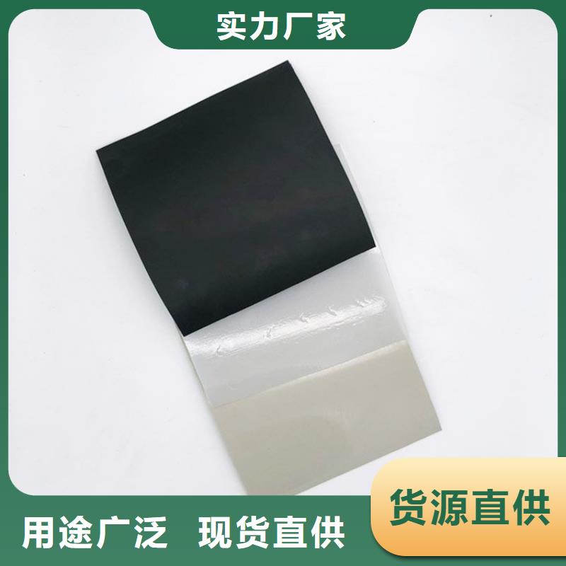防水板防滲膜廠家直營(yíng)本地生產(chǎn)廠家