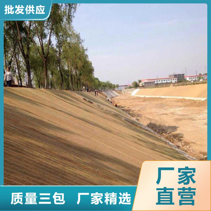 帶草籽環(huán)保草毯本地生產(chǎn)商