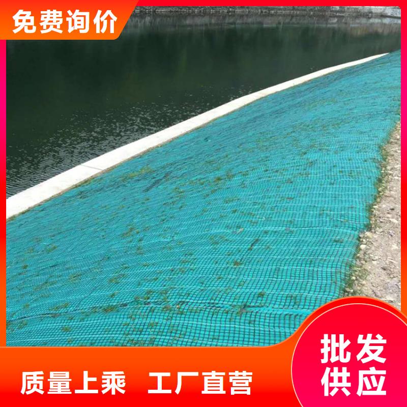 椰絲植生毯施工指導(dǎo)庫存充足