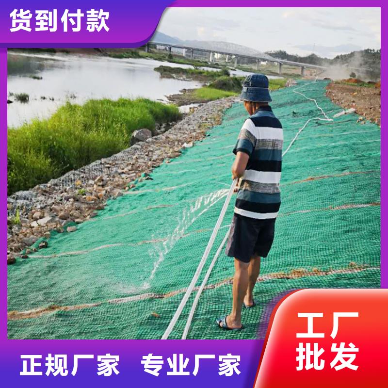 椰丝环保草毯物美价优