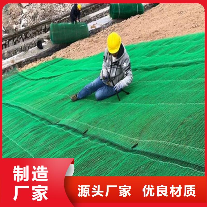 樂東縣生態(tài)植物防護毯加筋抗沖生態(tài)毯按需定制