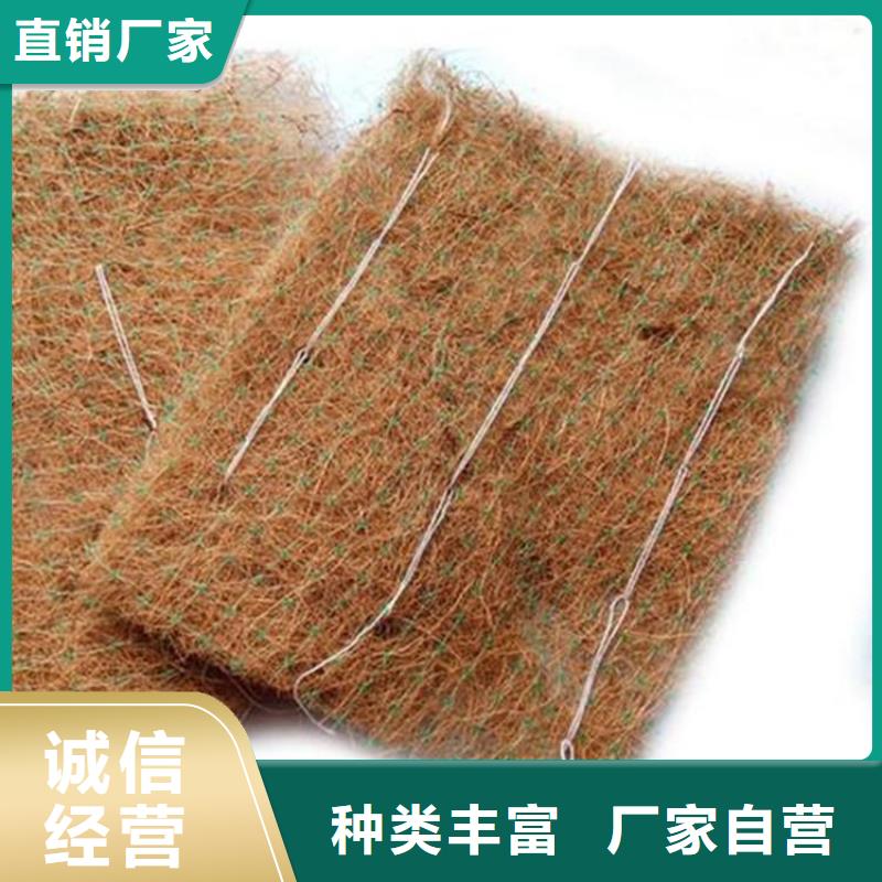護(hù)坡植被植草毯生態(tài)毯廠家現(xiàn)貨批發(fā)