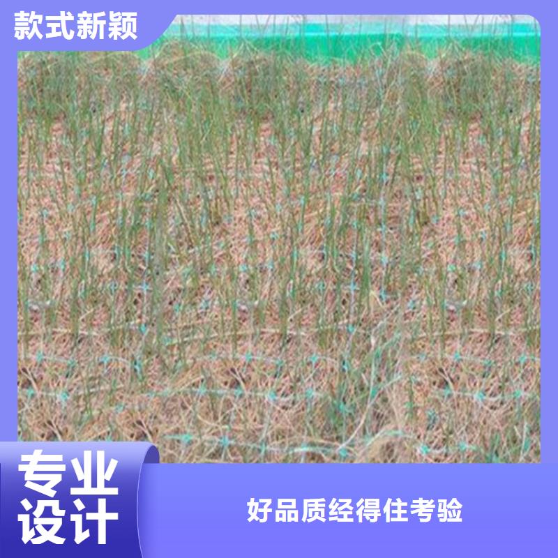 護(hù)坡椰絲植草毯水?？箾_生物毯現(xiàn)貨采購(gòu)