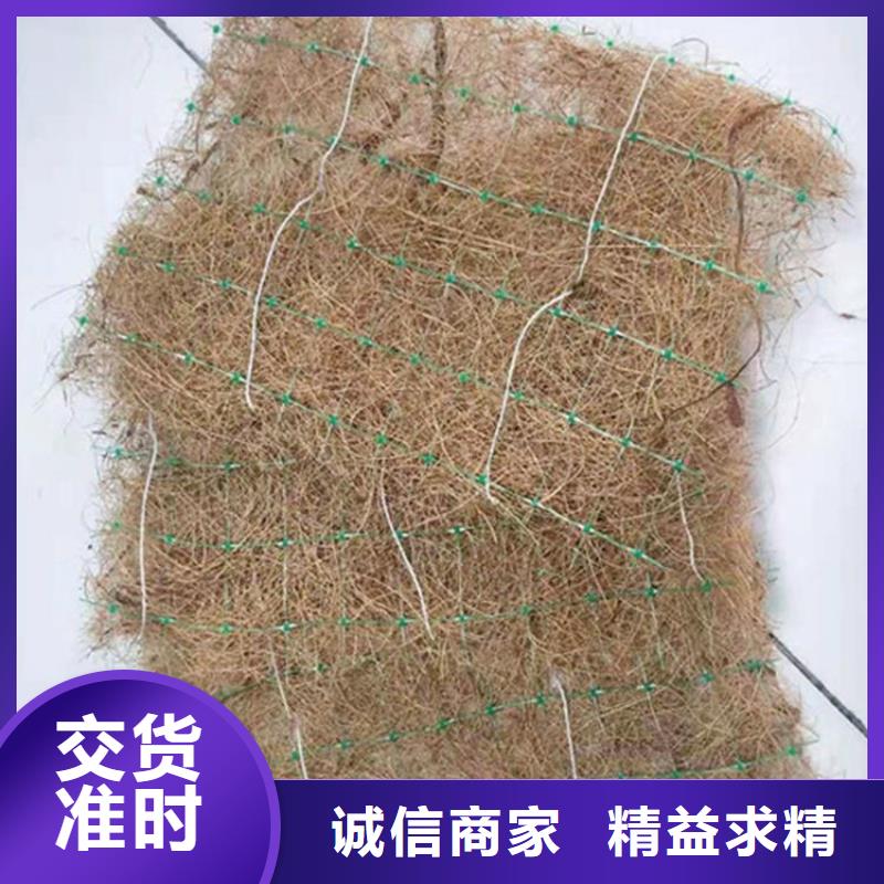 椰絲纖維毯水?？箾_生物毯當(dāng)?shù)刂圃焐?>
                    <h3>椰絲纖維毯水?？箾_生物毯當(dāng)?shù)刂圃焐?/h3>
                </div>
            </a>
        </li>
		
       		
      </ul>
		    
			
		</div>
      </div>
	</div>
       
     
    <div   id=