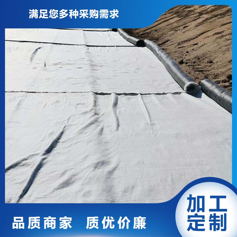5000g膨潤土防水毯廠家
