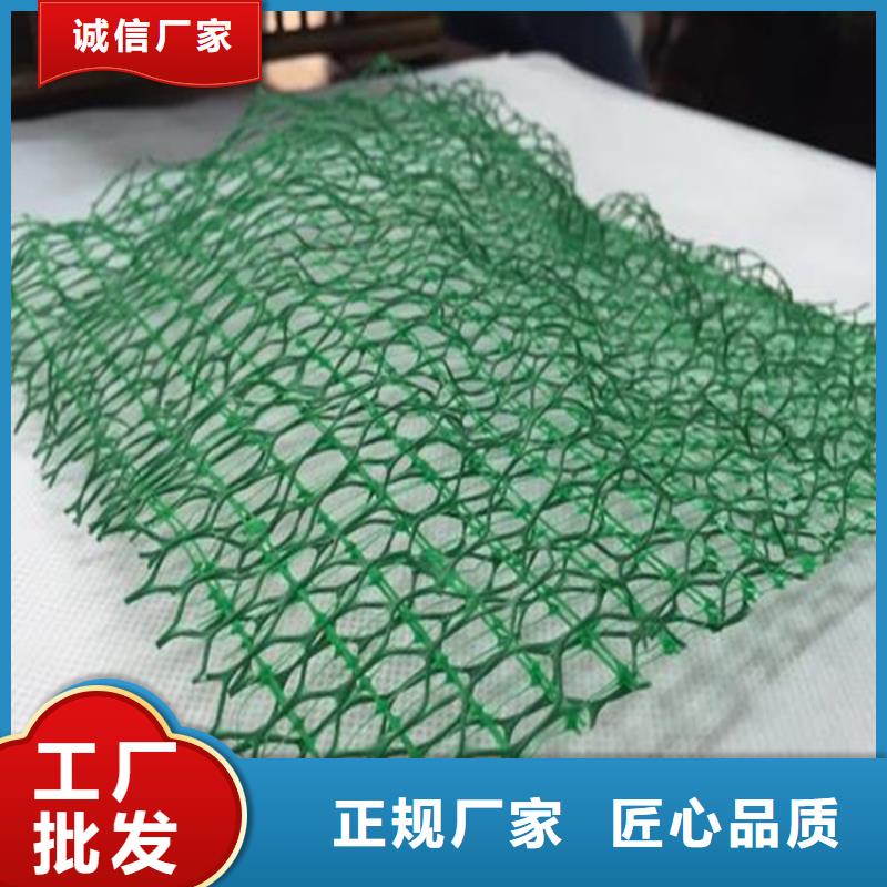 三維植被網(wǎng)-塑料玻纖格柵嚴(yán)選用料技術(shù)先進(jìn)