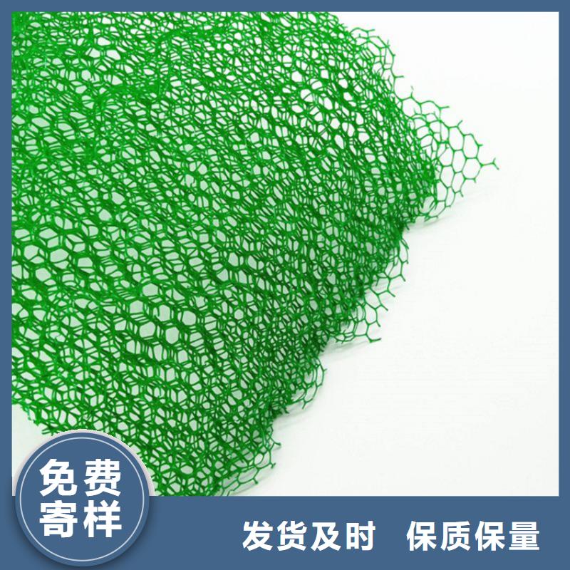 三維植被網(wǎng)土工網(wǎng)多家倉庫發(fā)貨同城公司