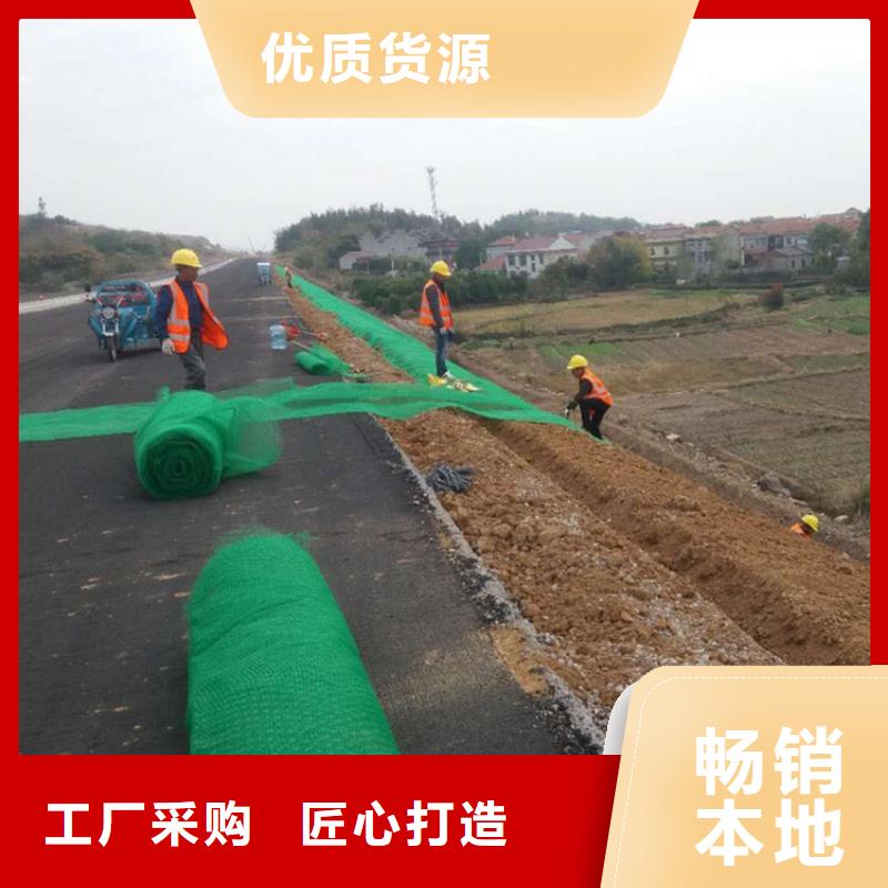 塑料EM2三維護(hù)坡植草網(wǎng)品類齊全