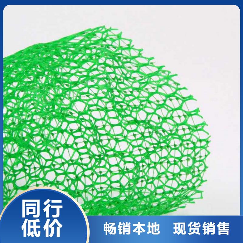 環(huán)保加筋三維護(hù)坡植草網(wǎng)源頭采購(gòu)