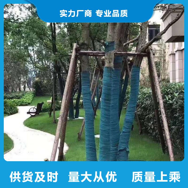 婁底市裹樹(shù)布包樹(shù)棉
