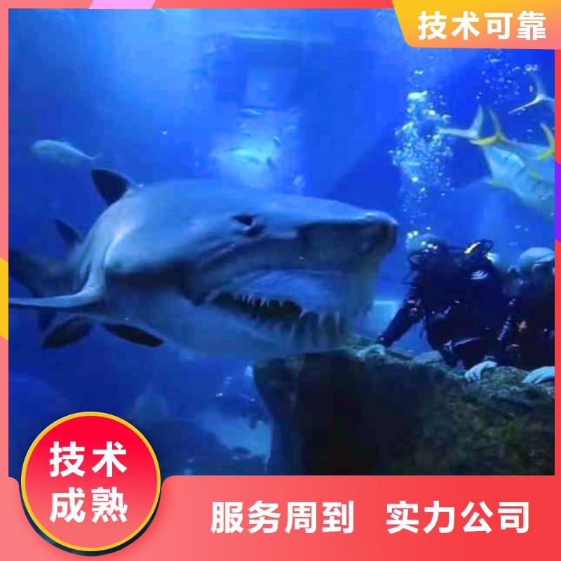陽江江城打撈隊:水下管道封堵公司2023已更新(今日/話題)