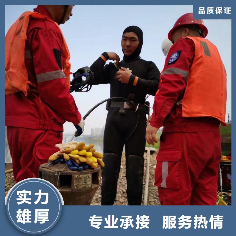 水下樁基檢測收費實力雄厚蛟龍公司當地制造商