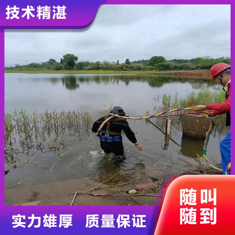 潛水錄像收費歡迎咨詢水中從業(yè)經(jīng)驗豐富