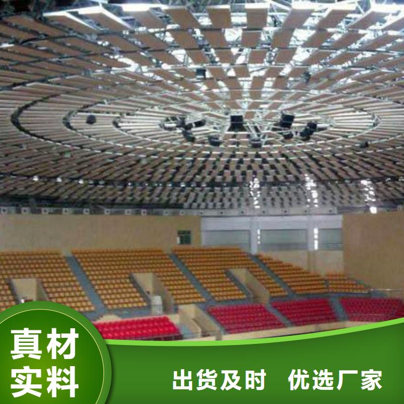 比賽體育館聲學(xué)改造好貨直銷