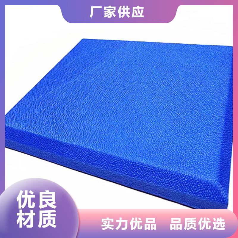 清遠(yuǎn)排練室防火防撞軟包吸音板工程施工案例