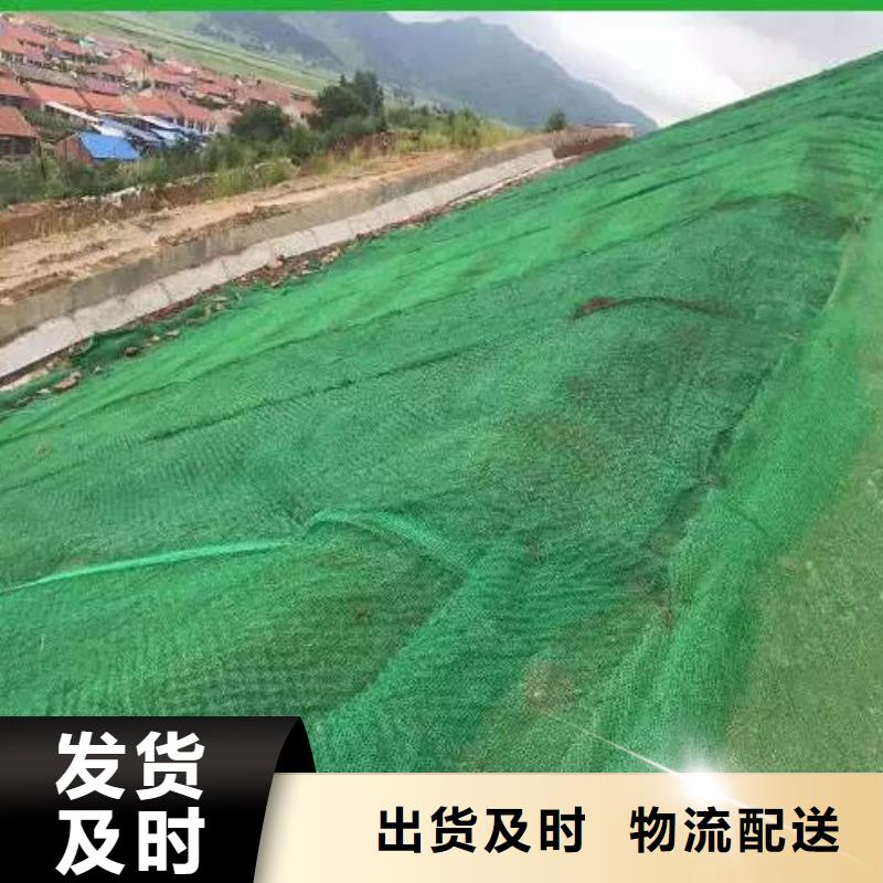 常年供應(yīng)三維土工網(wǎng)墊圖片-保質(zhì)真誠合作