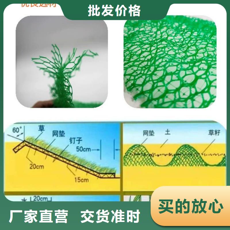 三维植被网_铜止水生产厂家品质过硬全新升级品质保障