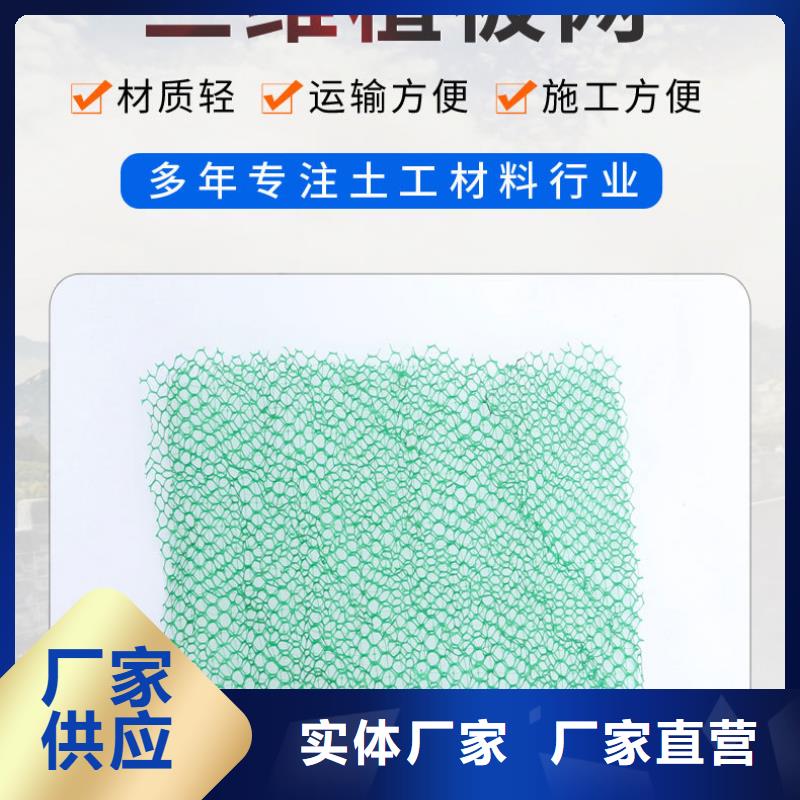 三維植被網(wǎng)-【聚乙烯醇纖維廠家】品質(zhì)不將就全品類現(xiàn)貨