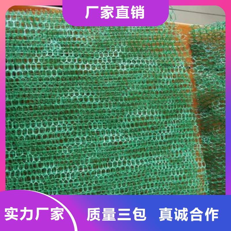 服务周到的加筋麦克垫生态护坡批发商专业生产N年