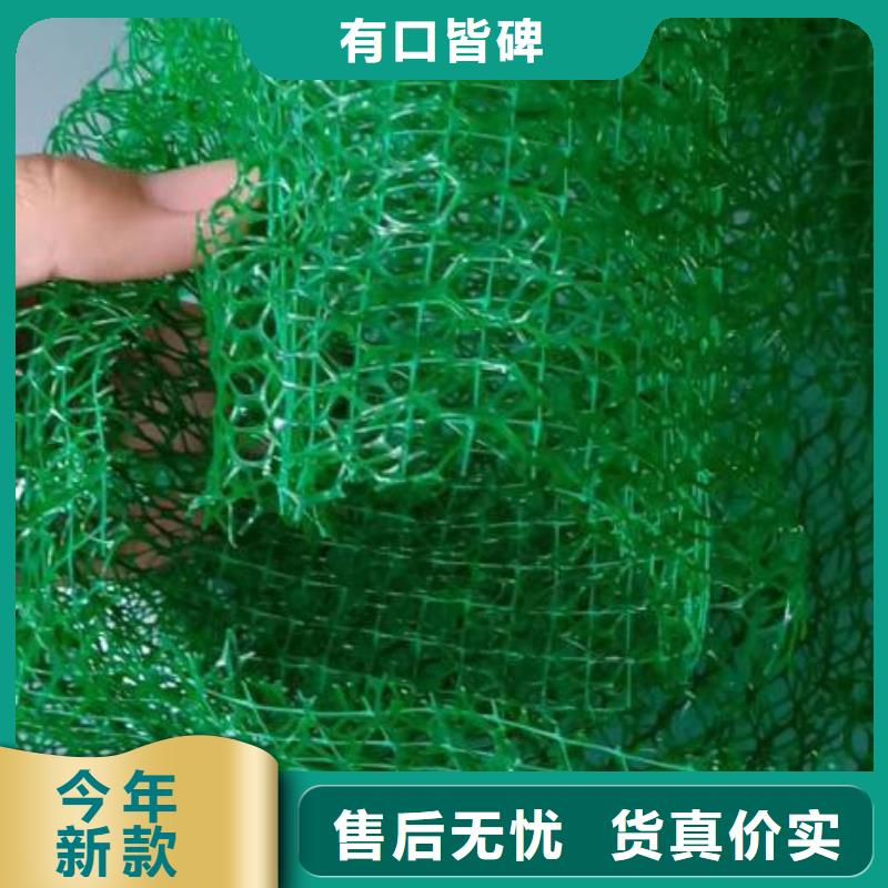 三维植被网_【螺旋形聚乙烯醇纤维】价格实在品质卓越