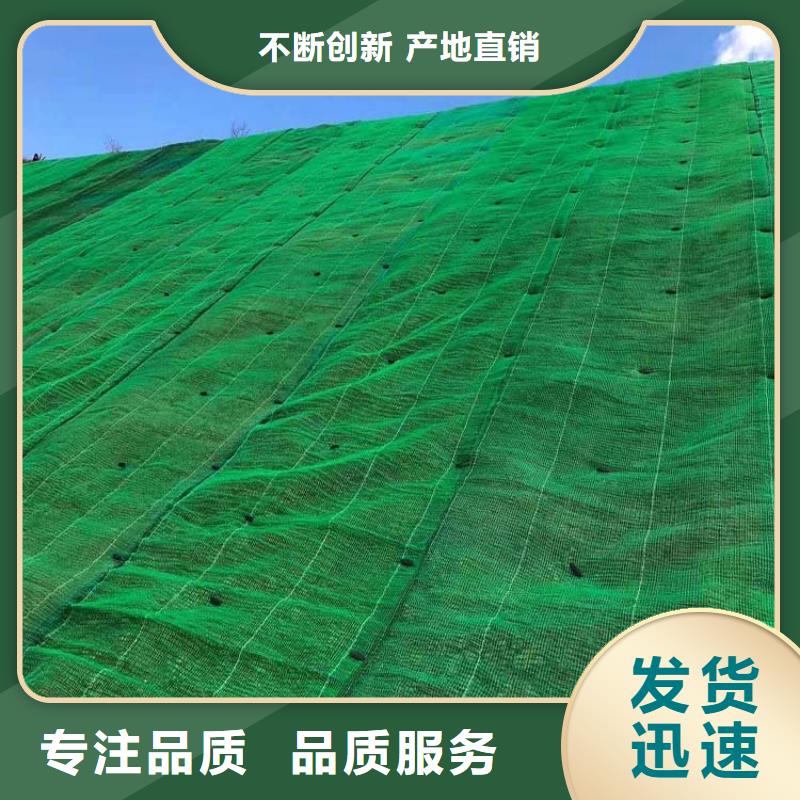 三維植被網(wǎng)_土工格柵一站式供應敢與同行比價格