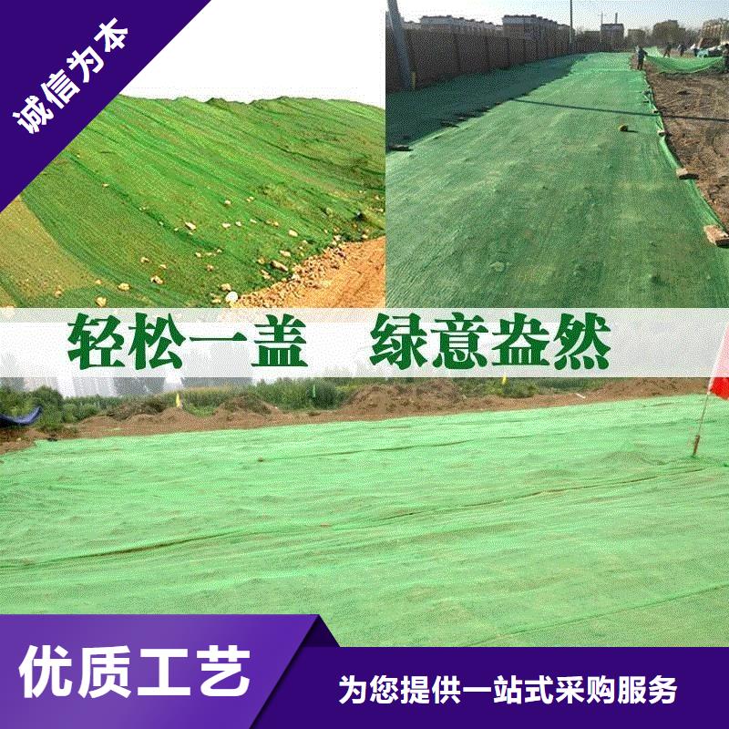 三维植被网-JK-7螺旋形海量现货本地货源