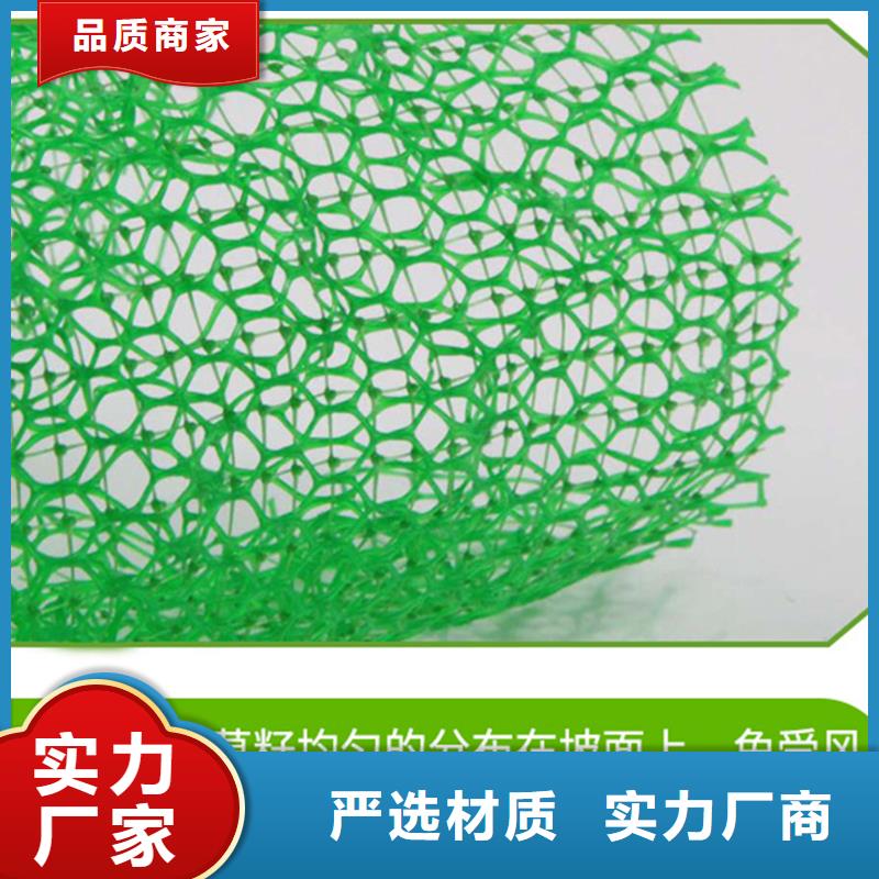 三维植被网土工膜工艺成熟现货供应