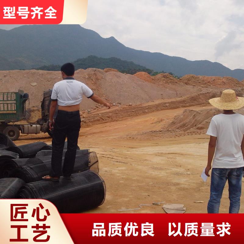 三维土工格栅网良心厂家实力厂商