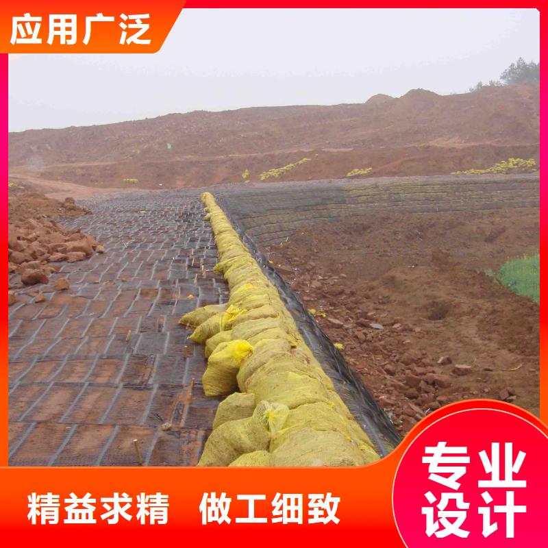 玻纖土工格柵廠家可配送到廠工藝成熟