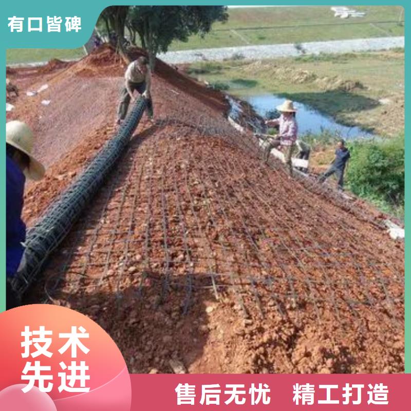 塑鋼土工格柵價格正規(guī)廠家價格實力大廠家