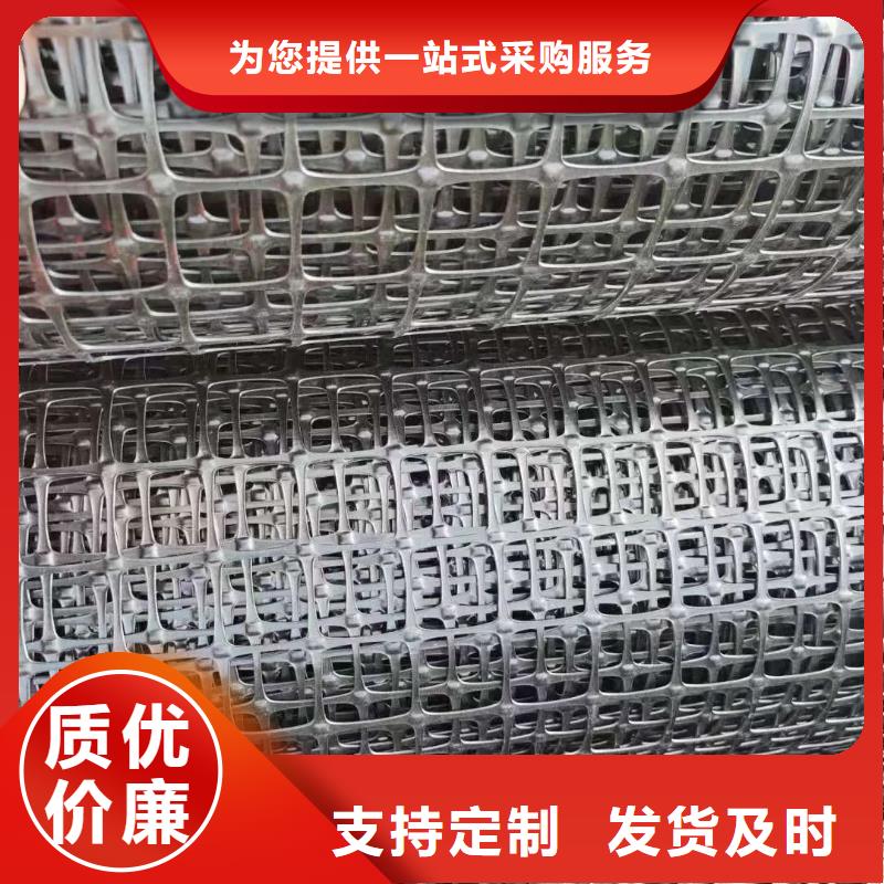 塑鋼土工格柵價格施工團(tuán)隊(duì)廠家專業(yè)信賴廠家