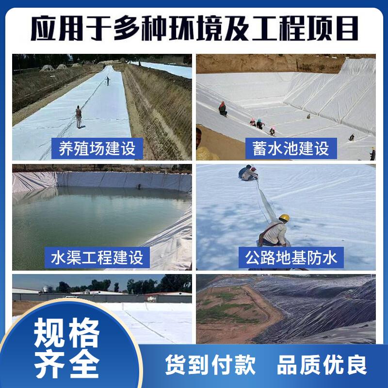 土工布,紫銅止水片廠家支持定制價格實(shí)惠