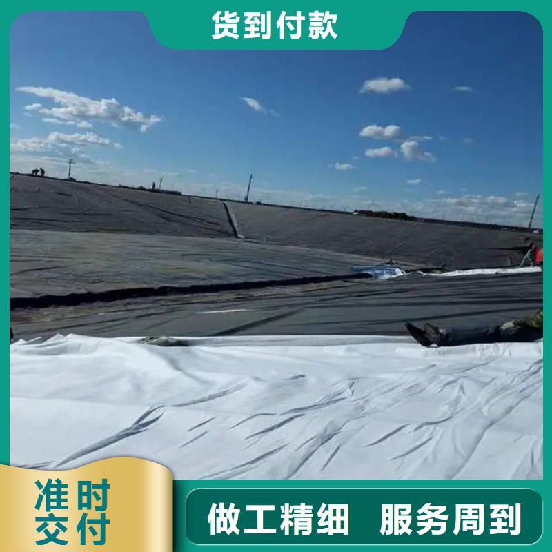 復(fù)合土工布-質(zhì)量可靠源頭工廠