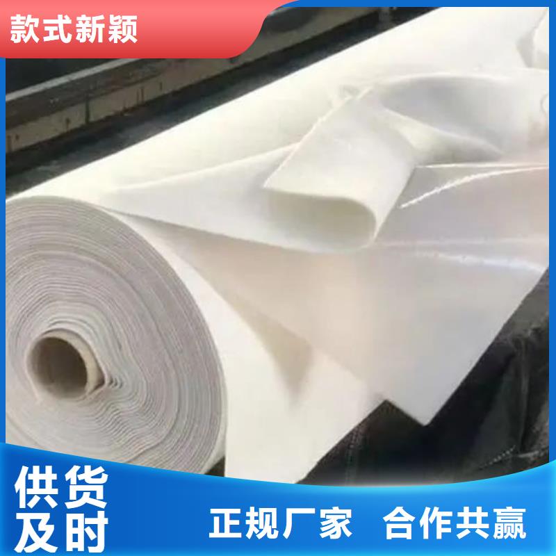本地性价比高的土工布图片厂家当地经销商