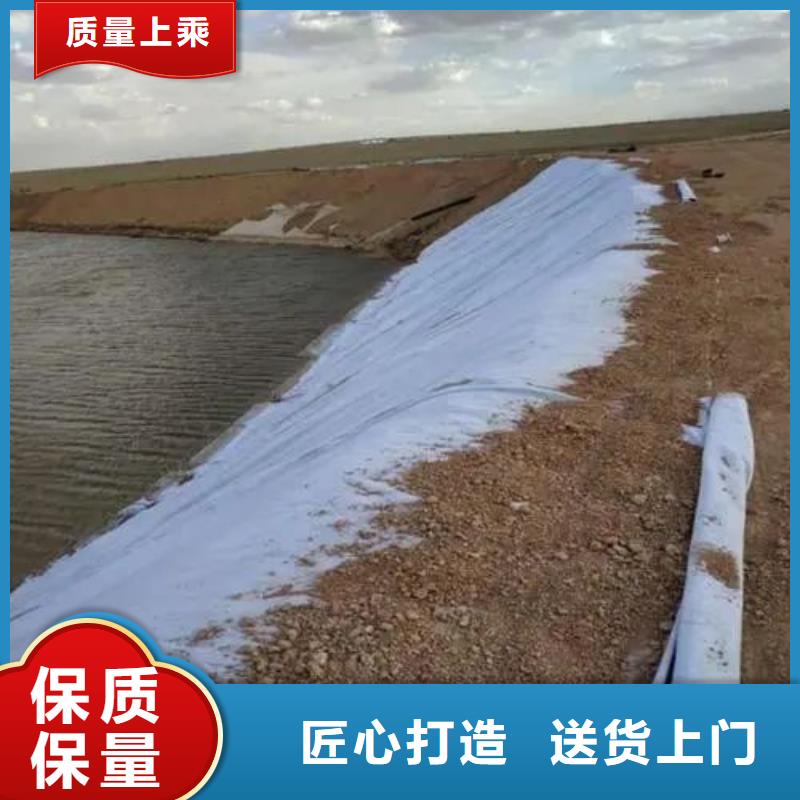 土工布【聚丙烯纖維】交貨準(zhǔn)時(shí)實(shí)力優(yōu)品