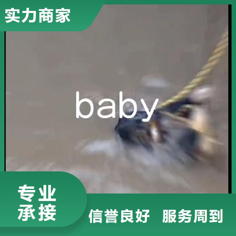 萊西管道封堵氣囊隨叫隨到