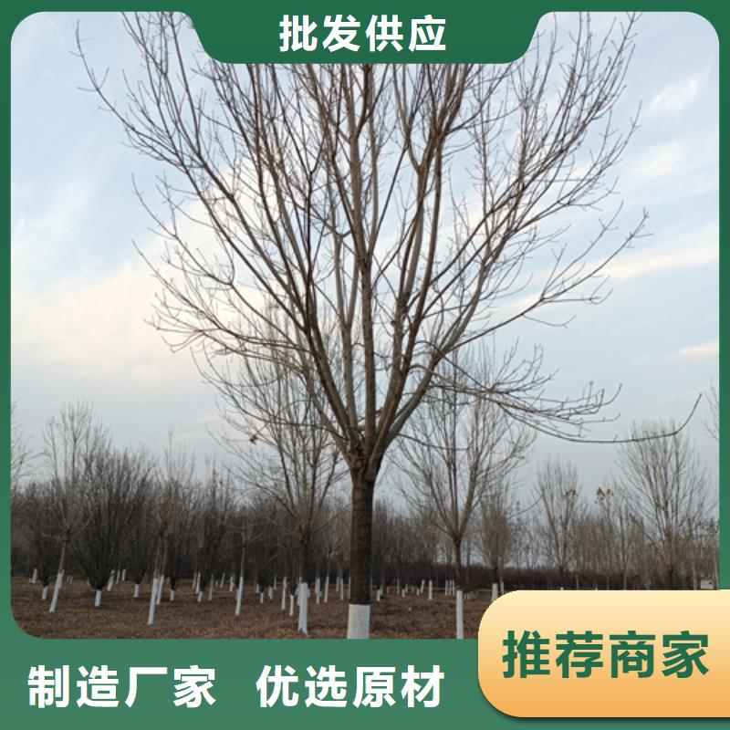 法桐白蠟優(yōu)選廠商技術(shù)先進(jìn)