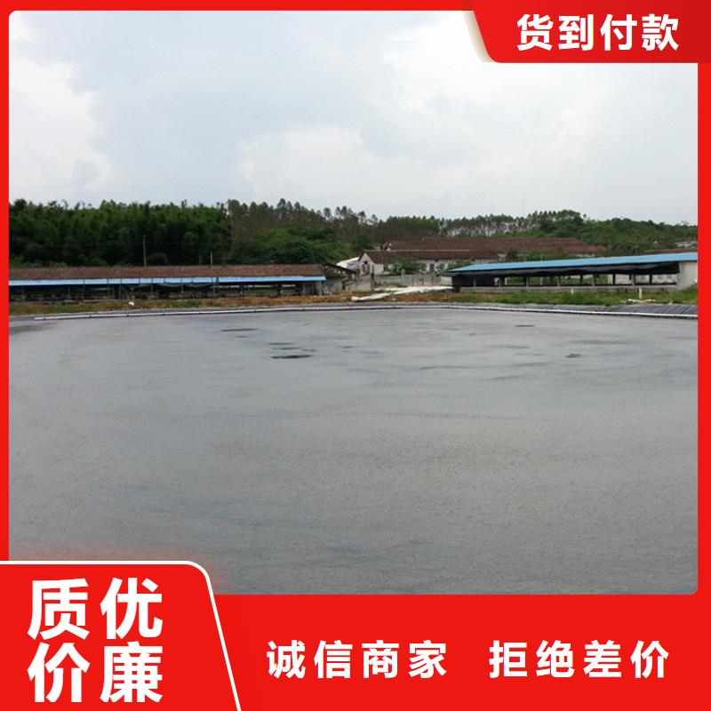 土工膜*長(zhǎng)絲復(fù)合土工膜*垃圾填埋場(chǎng)覆蓋土工膜顏色尺寸款式定制