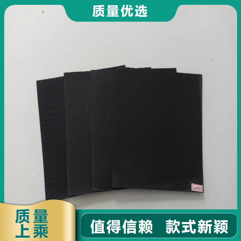 三布两膜复合土工膜-HDPE防渗膜厂家丰富的行业经验