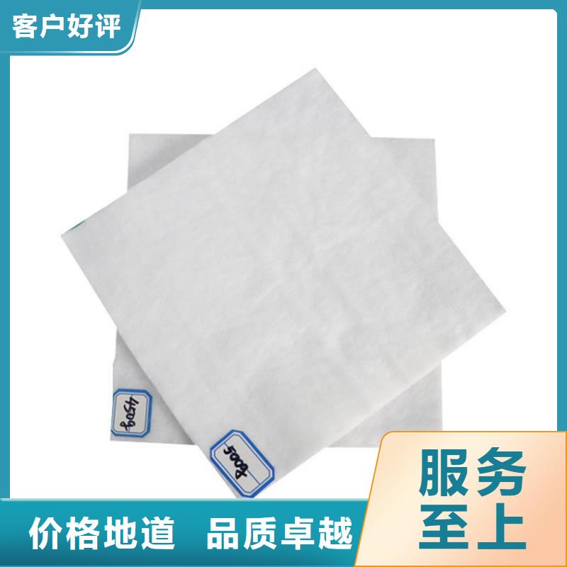 (短纖針刺養(yǎng)護(hù))土工布本地貨源