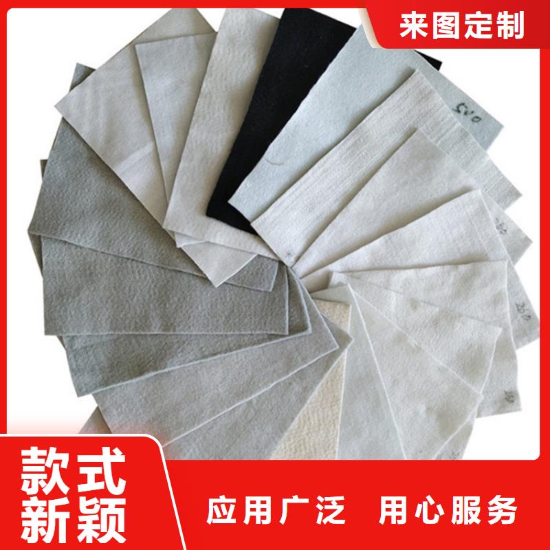 【土工布】土工膜敢与同行比服务省心又省钱